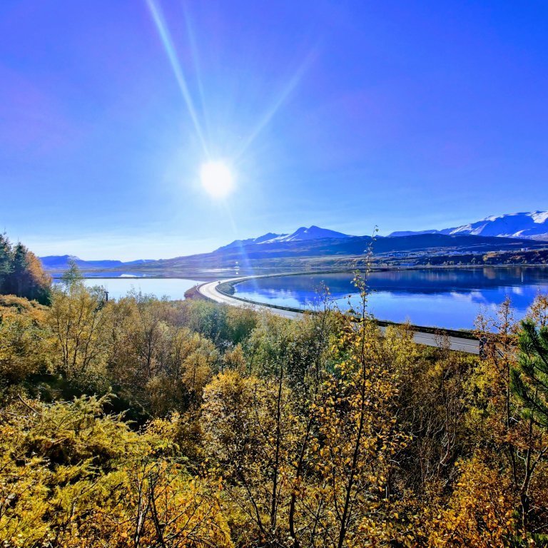 img_20211011_144917-effects-1