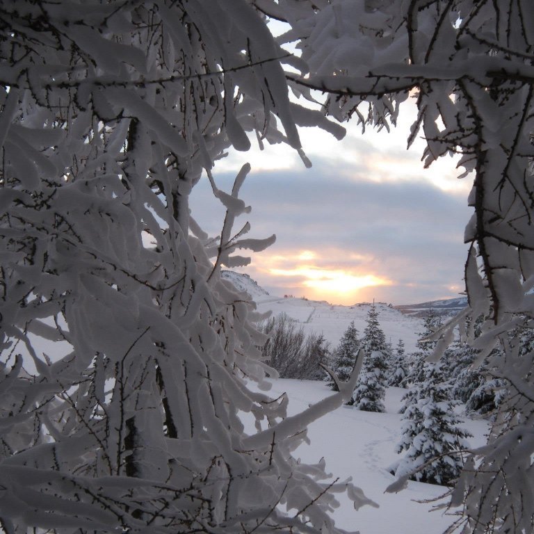 735973_10200304967895142_449752988_o