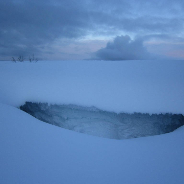 737009_10200304969415180_1933800361_o