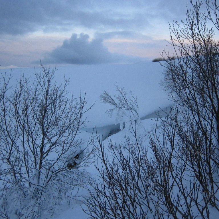 737186_10200304969935193_504086322_o