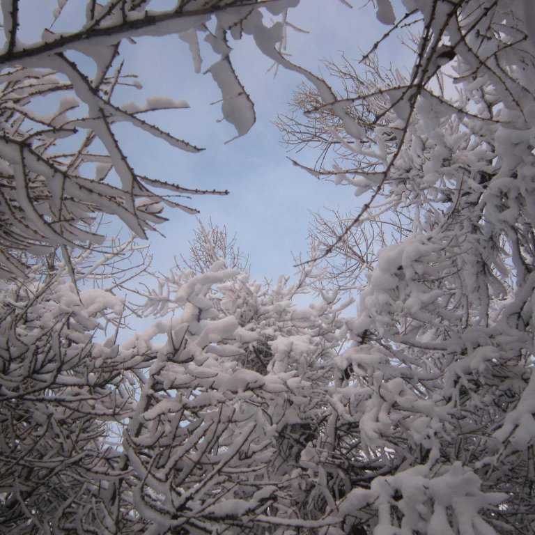 739710_10200304964775064_1854732329_o