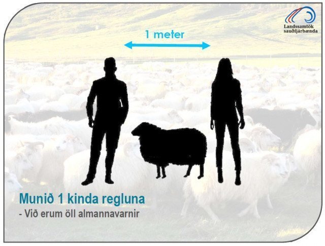 GANGNABOÐ HAUSTIÐ 2021