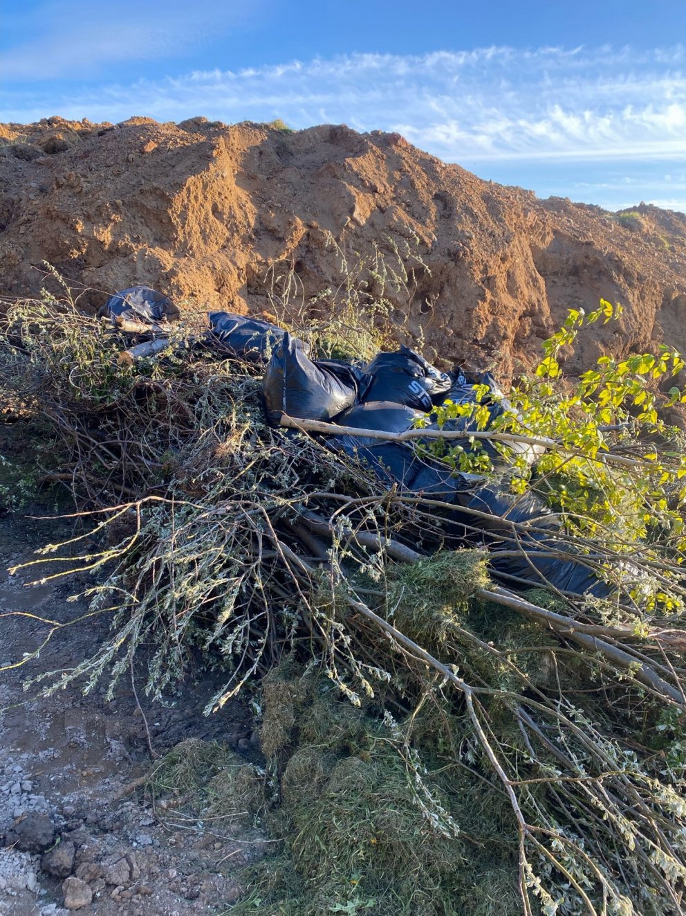 Umgengni á Tippnum.