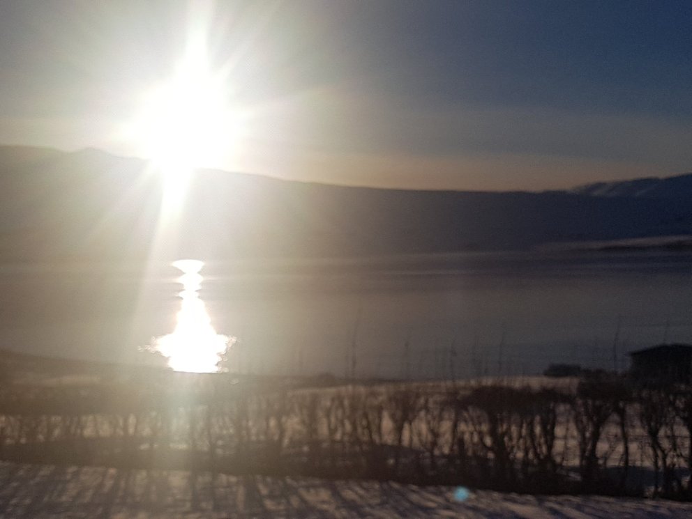 Leikskólakennari eða leiðbeinandi óskast til starfa  í leikskólanum Álfaborg í 100% stöðu