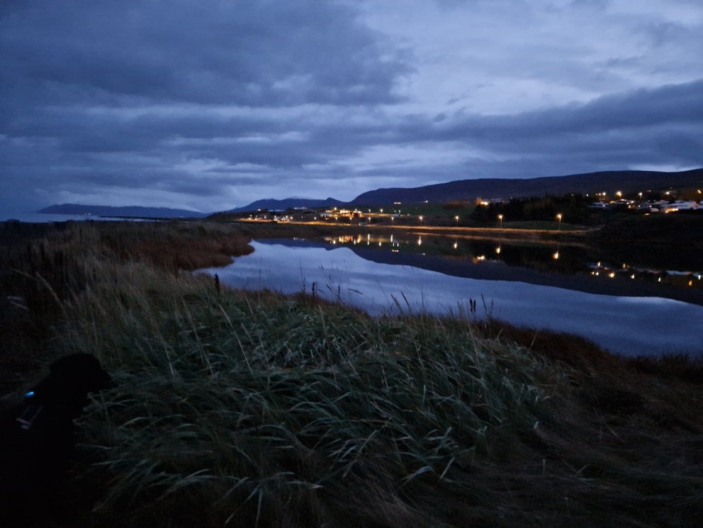 Mynd: Svala Einarsdóttir