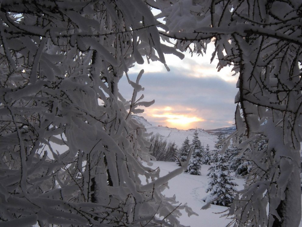 Jólamynd Svalbarðsstrandarhrepps