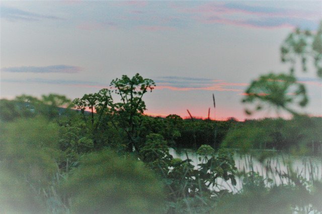 Ljósmynd: Elísabet Ásgrímsdóttir