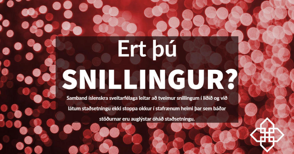 Ert þú snillingur?