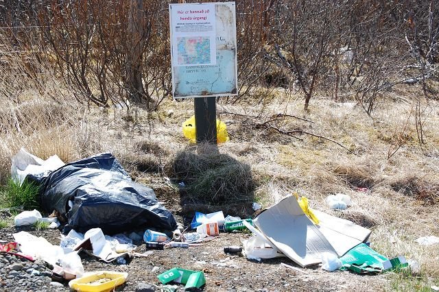 Mynd fengin af vef visir.is