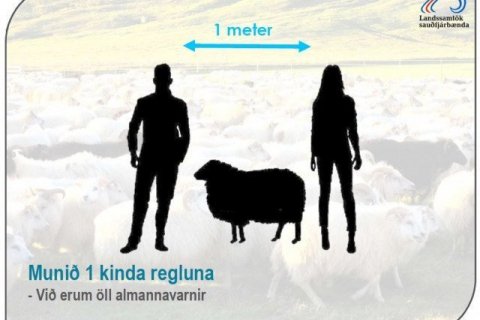 GANGNABOÐ HAUSTIÐ 2021