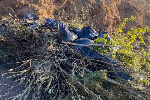 Umgengni á Tippnum.