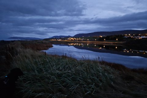 Mynd: Svala Einarsdóttir