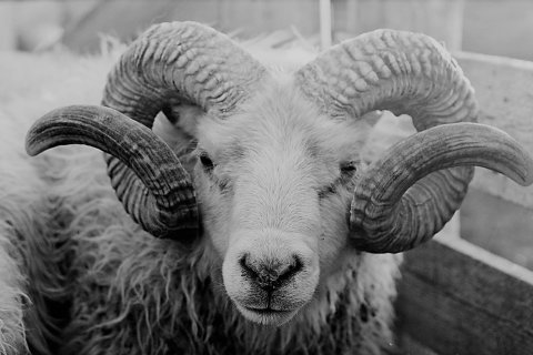 Tilkynning frá Þorrablótsnefnd