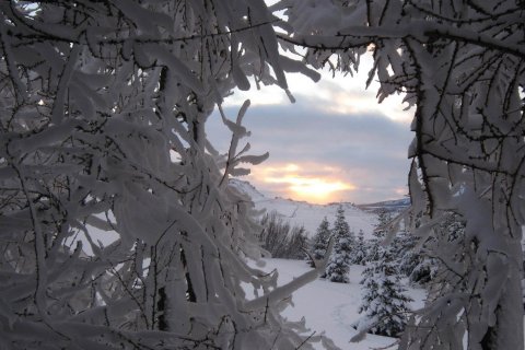 Jólamynd Svalbarðsstrandarhrepps