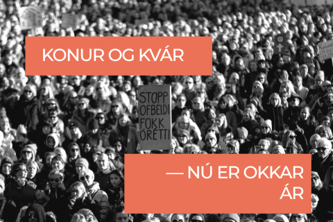 Þingeyskar konur og kvár – nú er okkar ár