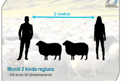 GANGNABOÐ HAUSTIÐ 2020