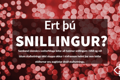 Ert þú snillingur?