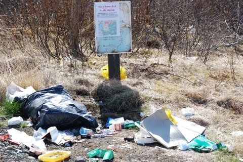 Mynd fengin af vef visir.is