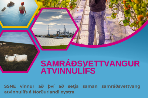 Samráðsvettvangur atvinnulífs á Norðurlandi eystra á vegum SSNE